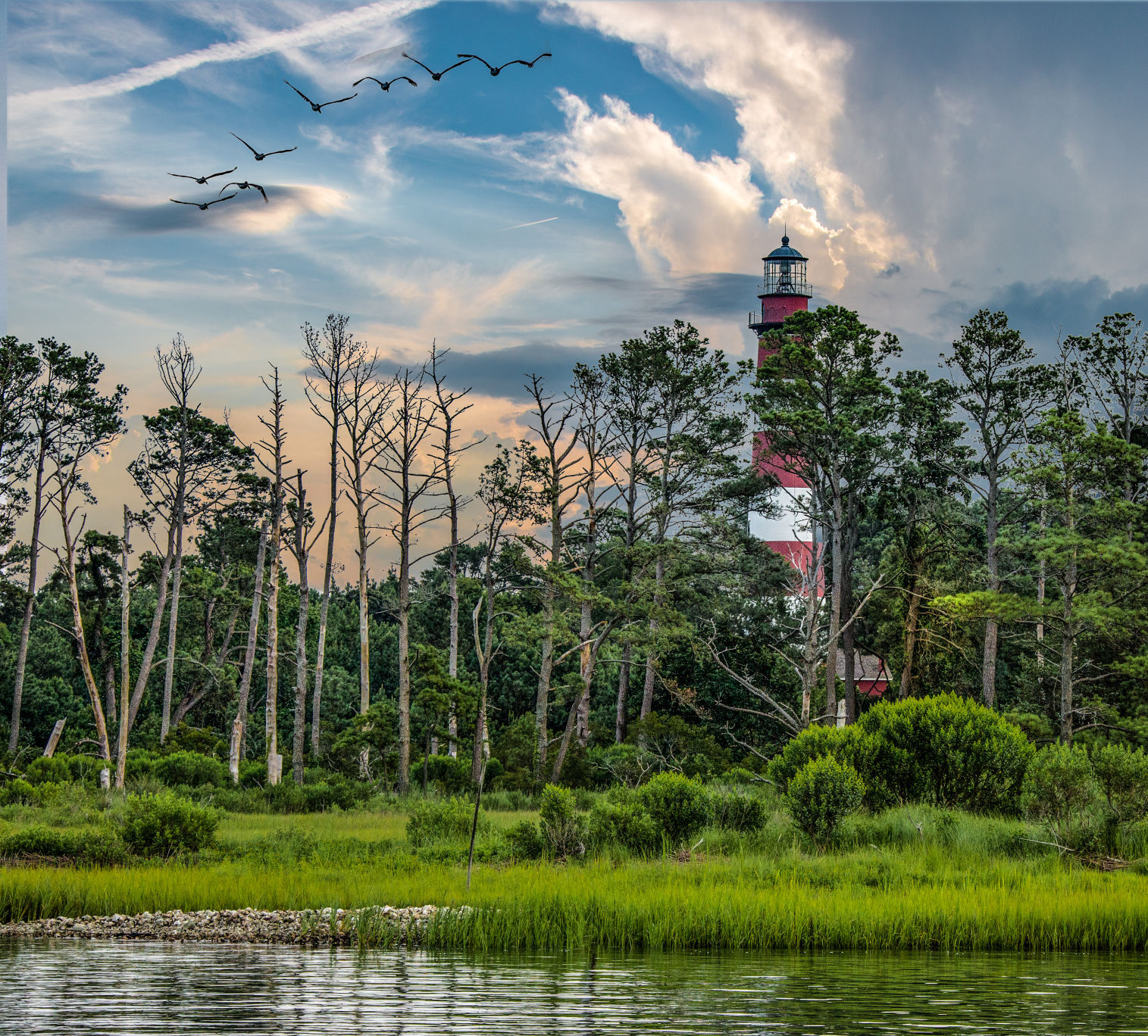 1BEST - Assateague Light - Burnley.jpg